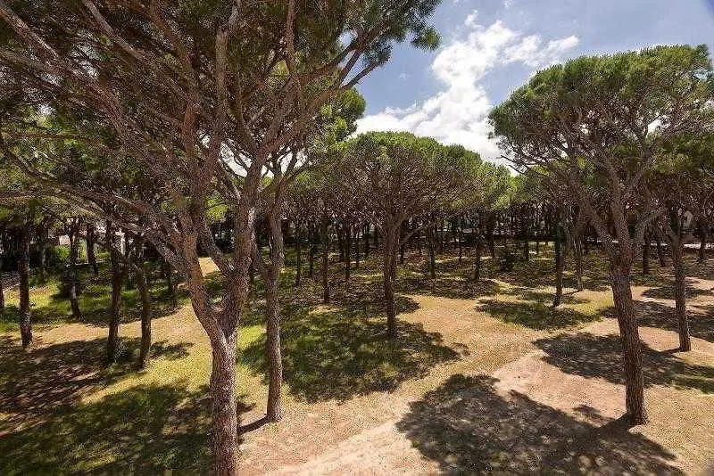 Hotel Leopoldo Castiglioncello 3*,  Italy